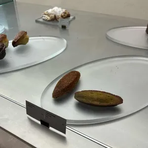 터치 사진