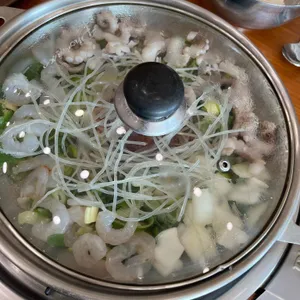 개미집 사진