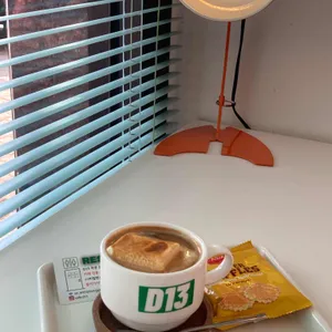D13 사진