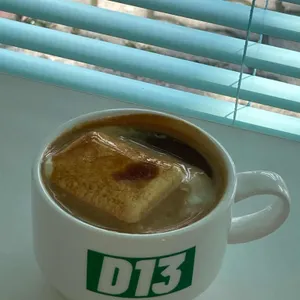 D13 사진
