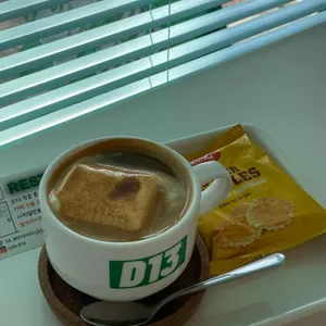 D13 사진