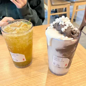 공차 사진