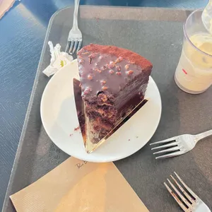 폴바셋 사진