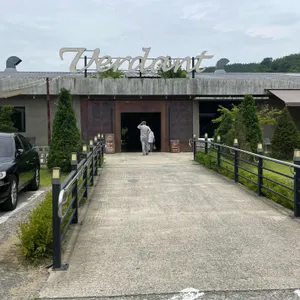 버던트 리뷰 사진