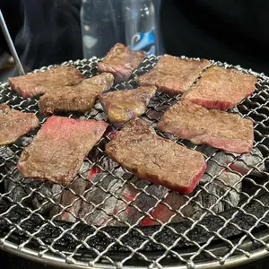 화기애애 사진