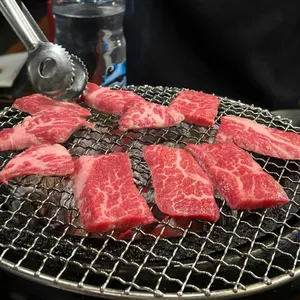 화기애애 사진