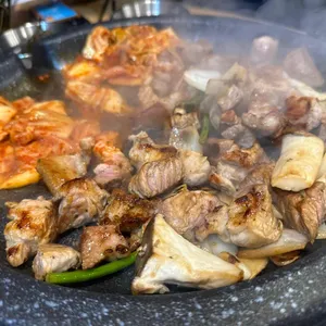 제주꽃돼지 사진