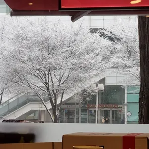 콩부자 리뷰 사진