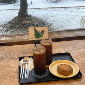 아웃팅카페 사진