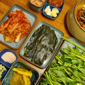 육식 사진