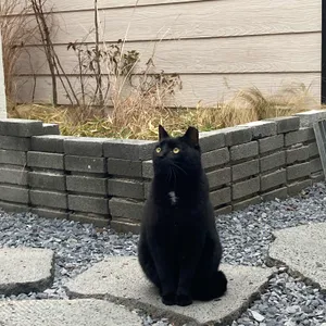 세임에이지 리뷰 사진