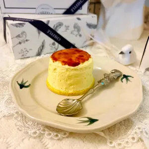 치플레 사진