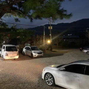 여명가든 리뷰 사진