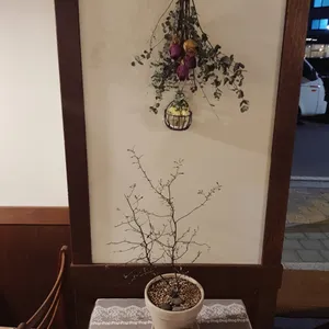 카페 백금당 리뷰 사진