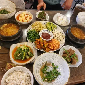 사과나무 사진