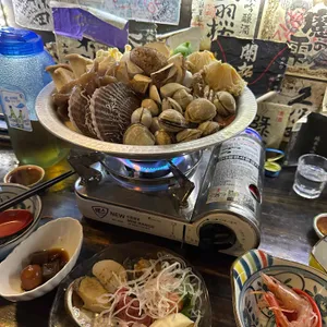 보리문디 사진