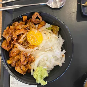 홍대개미 사진