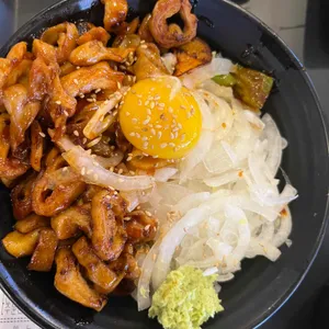 홍대개미 사진