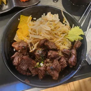 홍대개미 사진