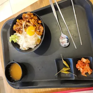 홍대개미 사진