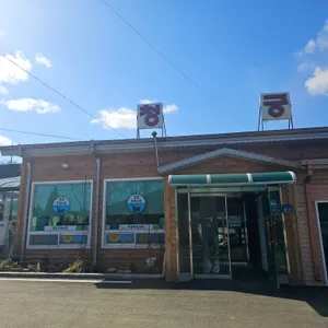 청궁흑염소 리뷰 사진