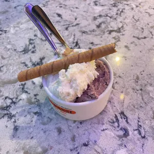 지파시 사진