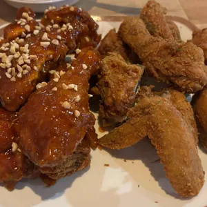 페스티발 사진