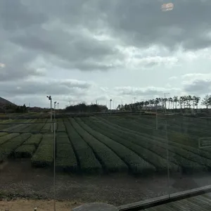 이니스프리 리뷰 사진