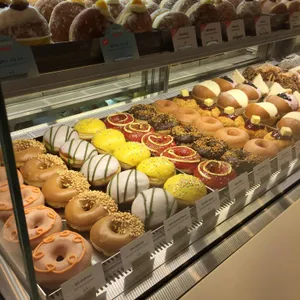 노티드 사진