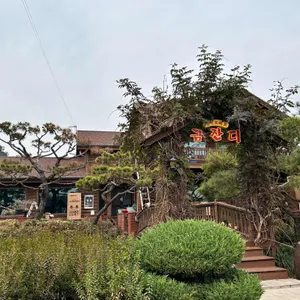 금잔디 흑염소 리뷰 사진