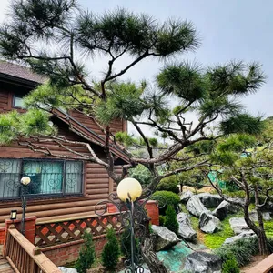 금잔디 흑염소 리뷰 사진