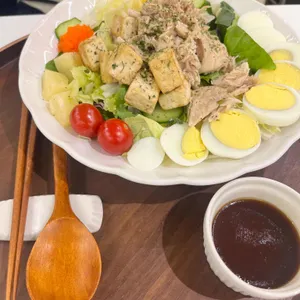 포케153 사진