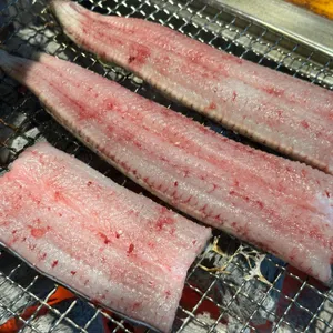 갈릴리농원 사진