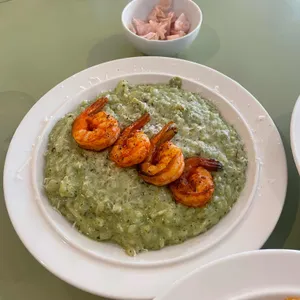 YUP 사진