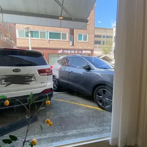 바울레 리뷰 사진