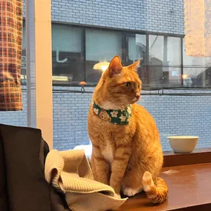 떼구루루 리뷰 사진