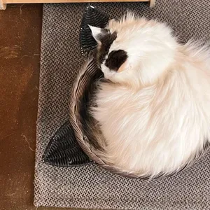 떼구루루 리뷰 사진