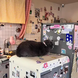 떼구루루 리뷰 사진