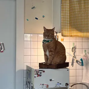 떼구루루 리뷰 사진