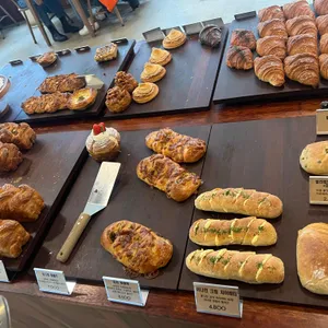 비브레이브 리뷰 사진