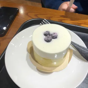 스타벅스 사진