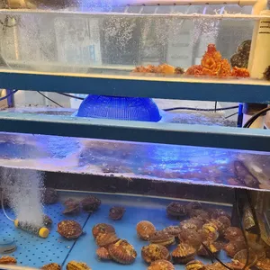 상록회관 연탄구이 리뷰 사진