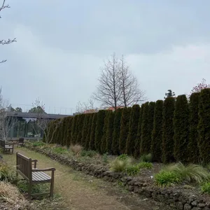 베케 리뷰 사진