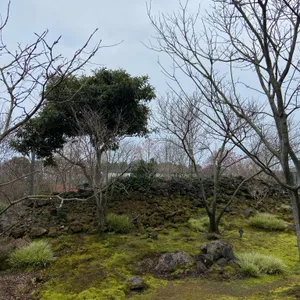 베케 리뷰 사진