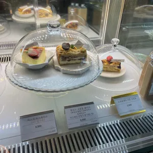콜리브리 리뷰 사진