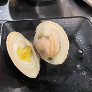 조개먹게 사진