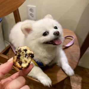 카페따돗 사진