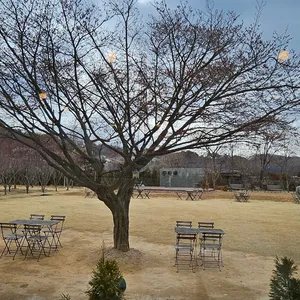 노만주의 리뷰 사진