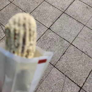 츄플러스 리뷰 사진