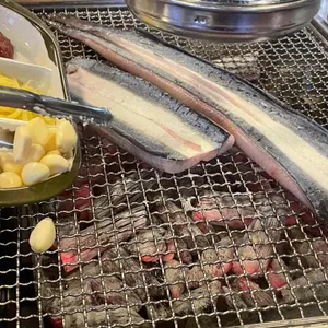 황토장어 사진